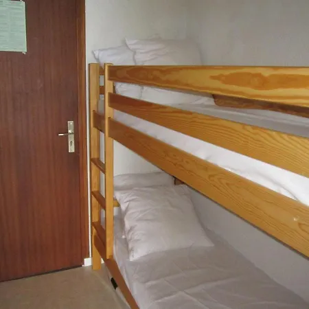 4 Pers, 300m Des Pistes, Balcon, Parking, Animaux Ok - En Oisans - Fr-1-297-25 דירה